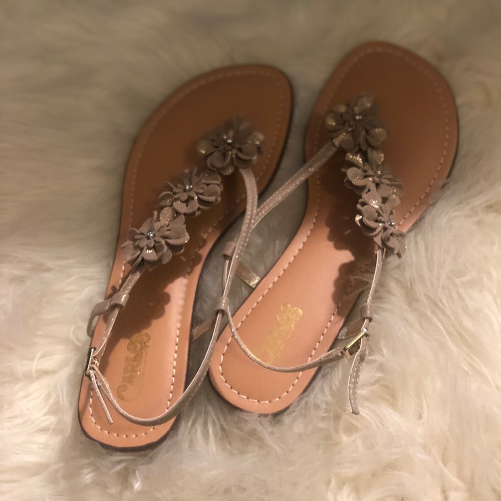 New Terrah sandals!